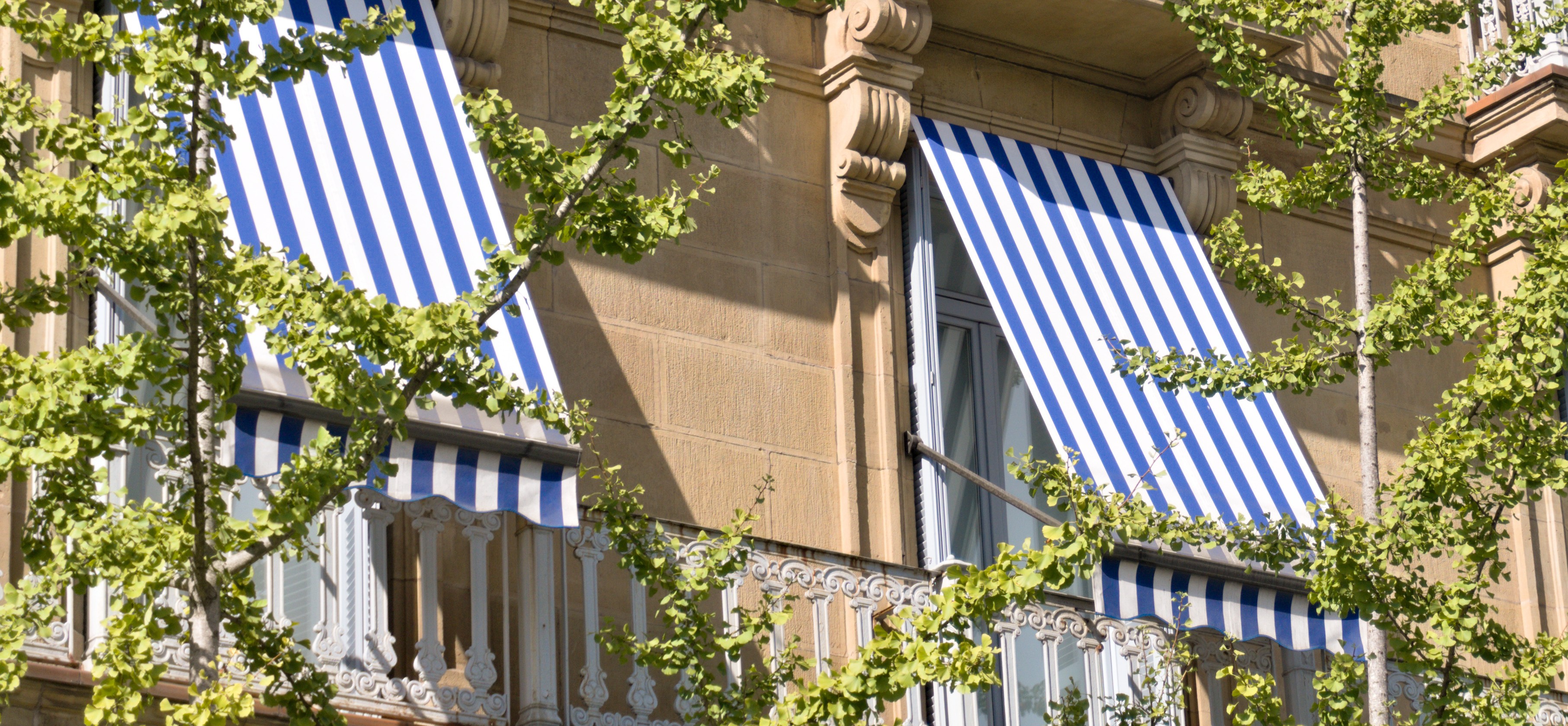 Italia Drop Arm Window Awning